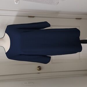 isabel & nina Size 12 Blue Mid Length Sleeve Shift Dress, Exc. Used Condition
